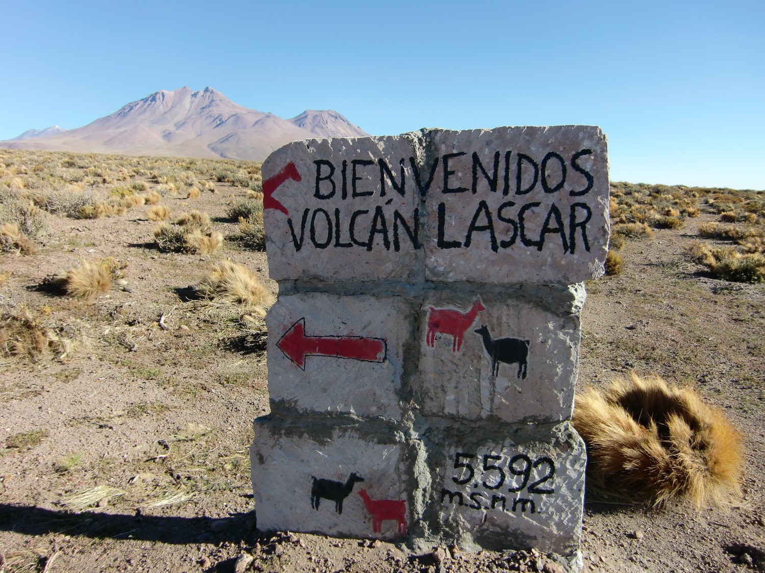 Welcome to Lascar, 5592 meters heigh